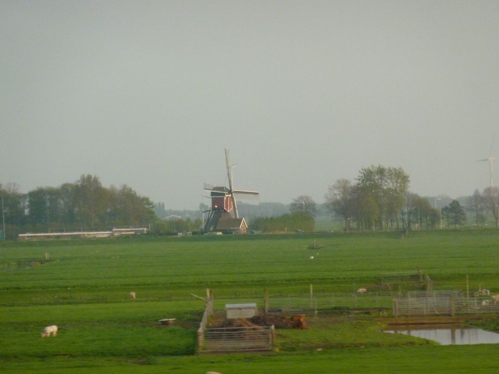 110421 moulin entre Amsterdam et Rotterdam - 2