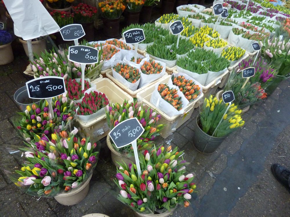 110417 Bloemenmarkt, Amsterdam - 01