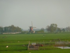 110421 moulin entre Amsterdam et Rotterdam - 2