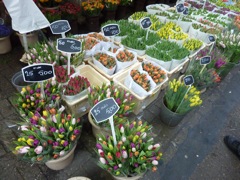 110417 Bloemenmarkt, Amsterdam - 01