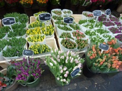 110417 Bloemenmarkt, Amsterdam - 04