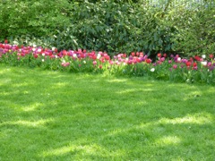 110418 Vondelpark, Amsterdam - 08
