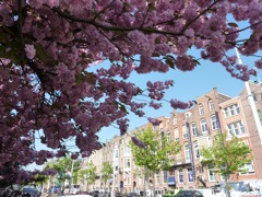 110419 Paulus Potterstraat (musée Van Gogh), Amsterdam - 1